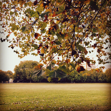 So schön ist der Herbst, wenn es nicht regnet - und man einen Filter drüber legt