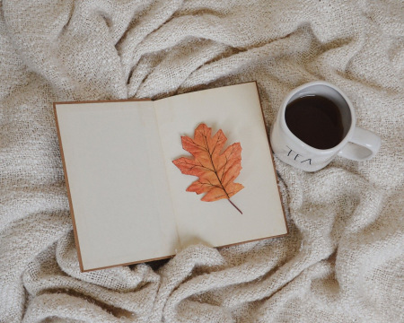 Das Bild zeigt ein aufgeschlagenes Buch, das auf einer gemütlichen Decke liegt. Ein Buchenblatt dient dabei als Lesezeichen. Rechts daneben steht eine weiße Tasse mit Kaffee.