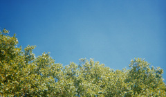 Blauer Himmel über der Uniwiese in Köln