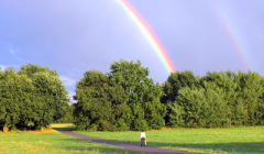 Regenbögen über der Straße