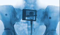 Cover von Lordes neuester Platte Virgin