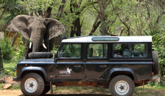 Kreuz und quer durch Afrika mit dem Jeep.