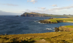 Irland ist f&uuml;r seine felsigen K&uuml;sten und gr&uuml;nen Wiesen bekannt.